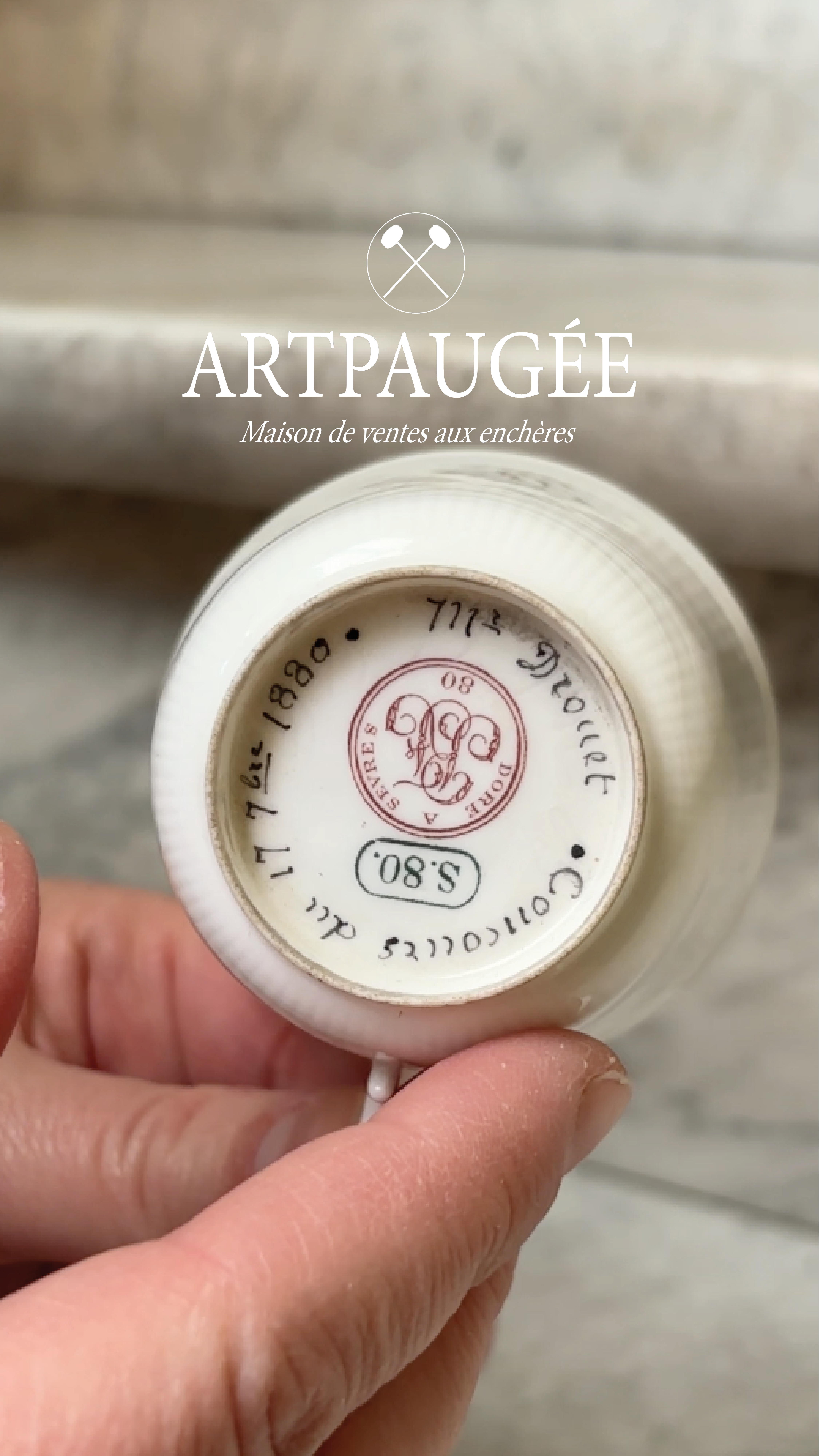 porcelaine de sevres artpaugee